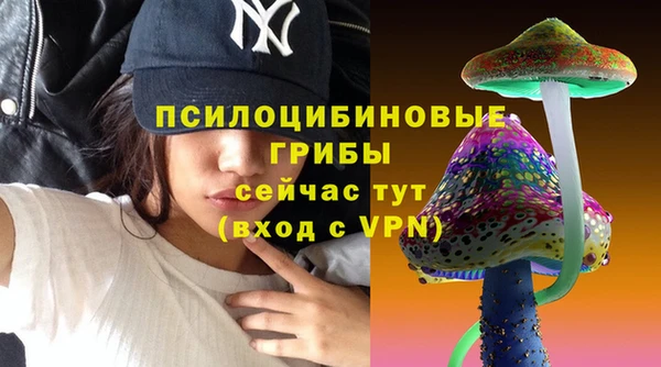 скорость Зерноград